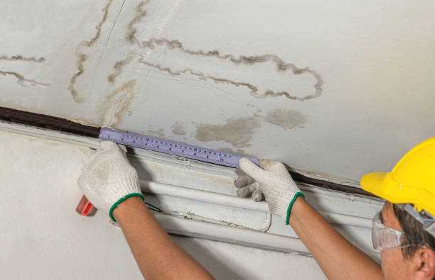 Reliable Mold Remediation contractor in Middletown, CA by Water Damage Irwin